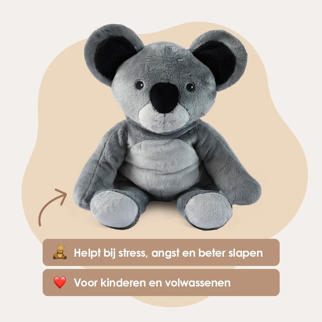 Mini & Grote Koala- Je bespaart €20