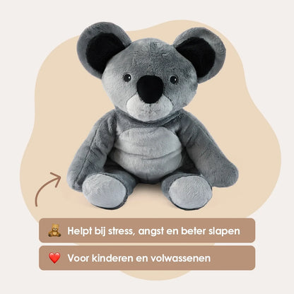 Mini & Grote Koala- Je bespaart €20