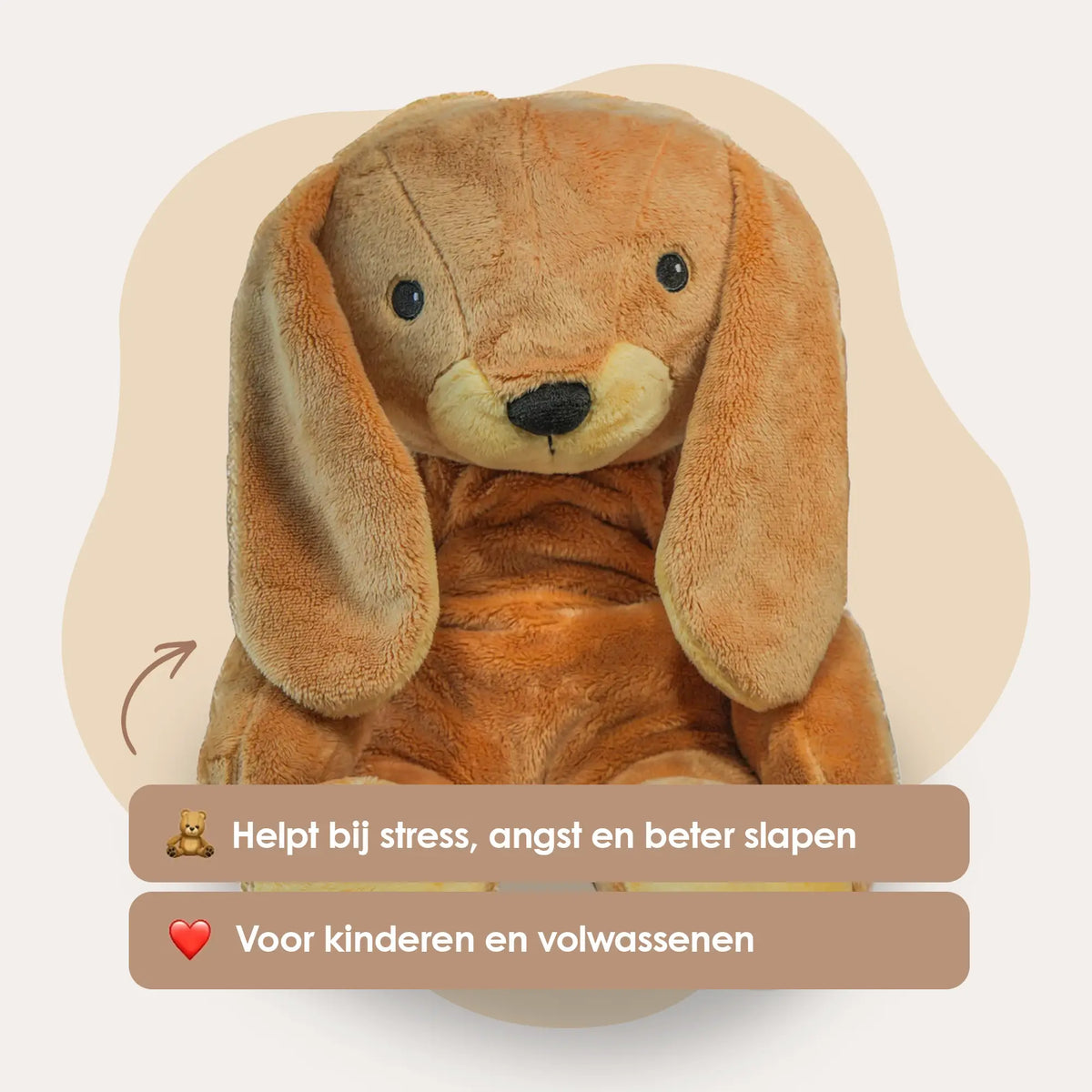 Mini & Grote konijn - Je bespaart €20