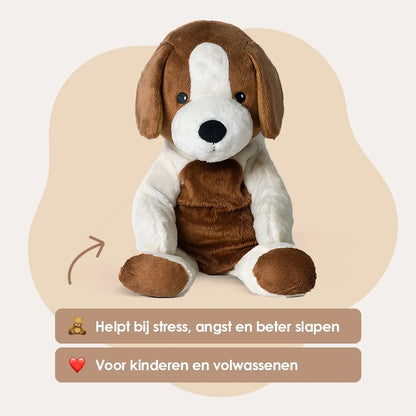 Alle 4 Lotgenootjes in 1 - Je bespaart €70