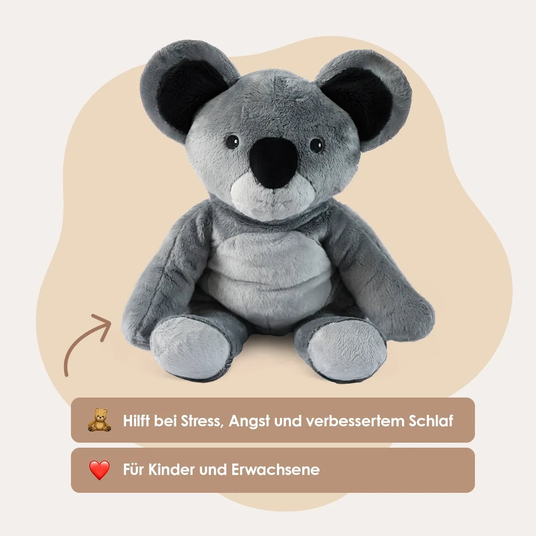 Lotgenootje Koala 2kg