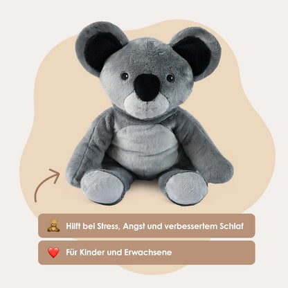Lotgenootje Koala 2kg