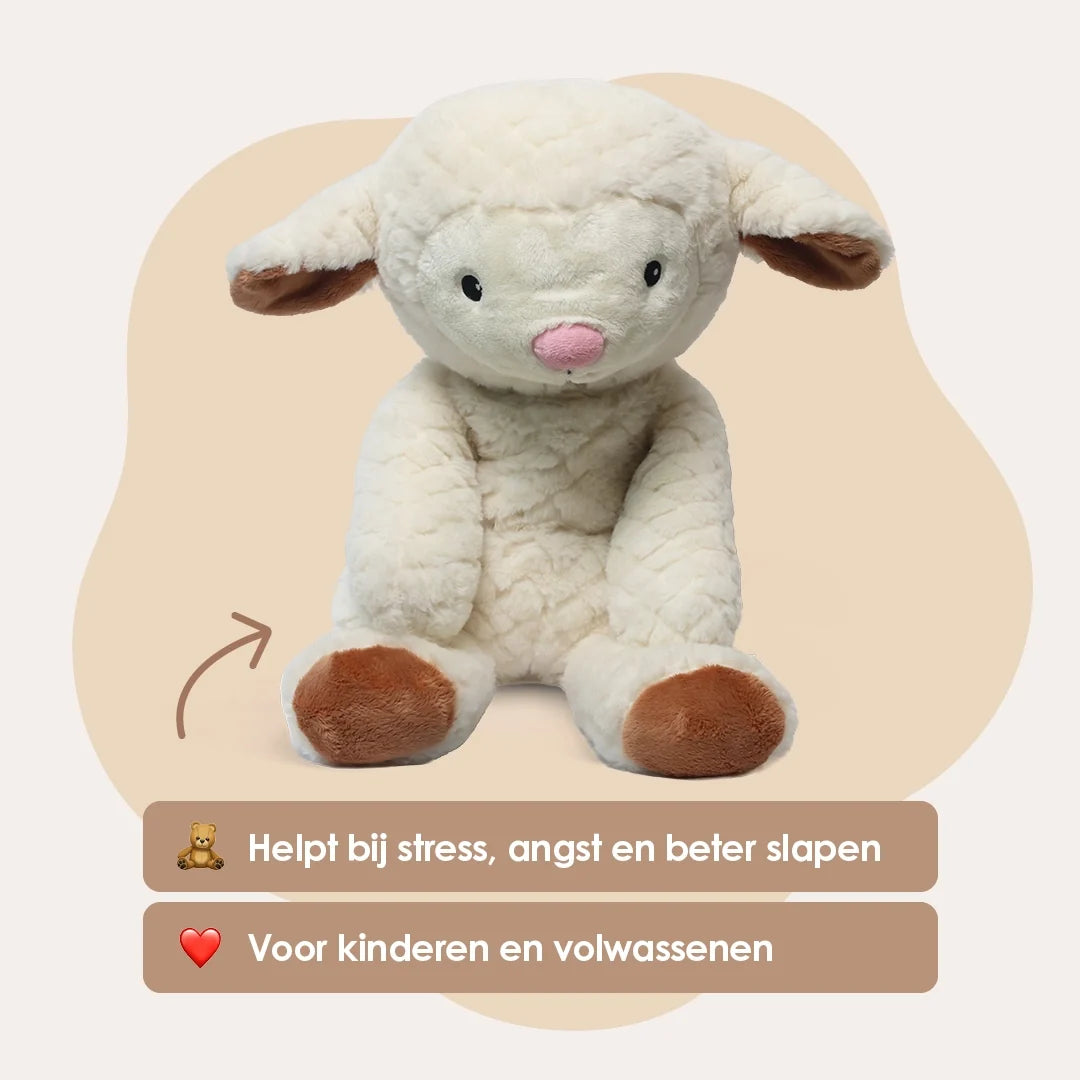 Mini & Grote Schaap - Je bespaart €20