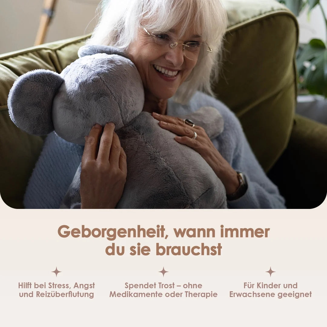 Lotgenootje Koala 2kg