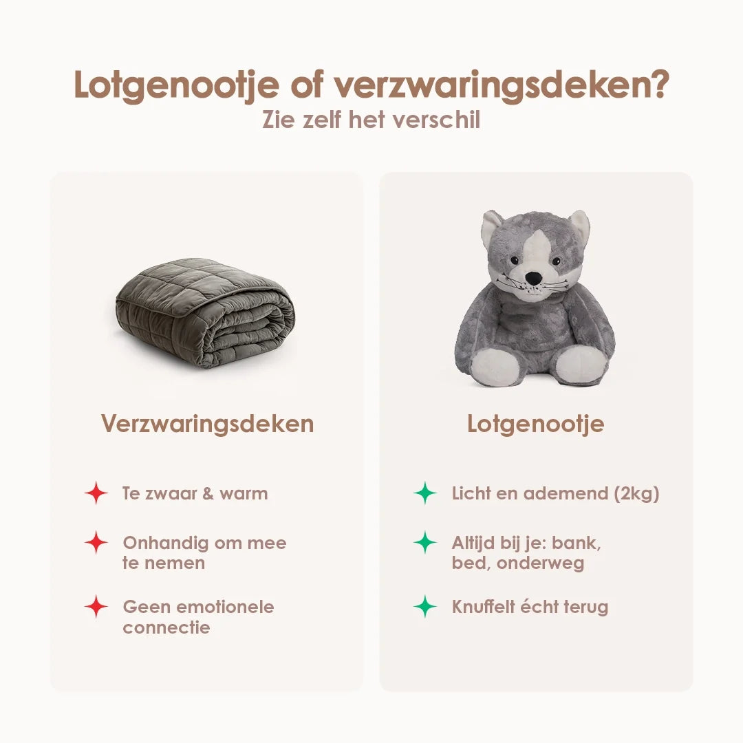 Lotgenootje Kat 2kg
