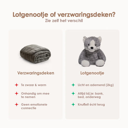 Lotgenootje Kat 2kg
