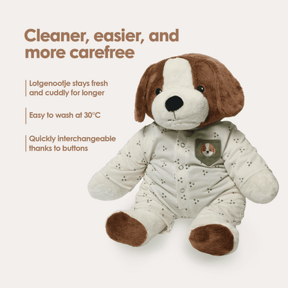 Hond Kleding Herfst Lotgenootje