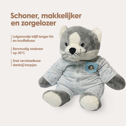 Kat Kleding Herfst Lotgenootje