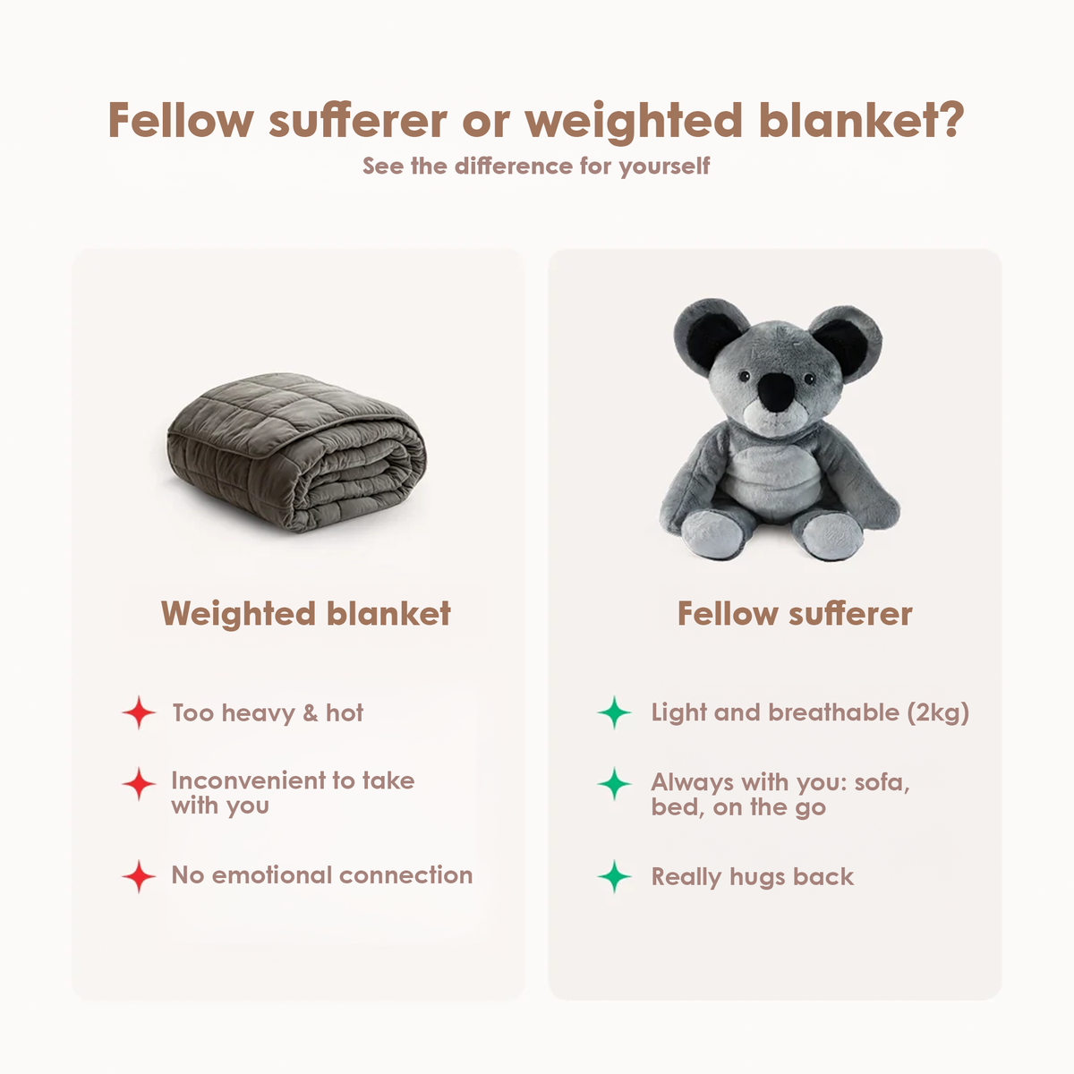 Lotgenootje Koala 2kg