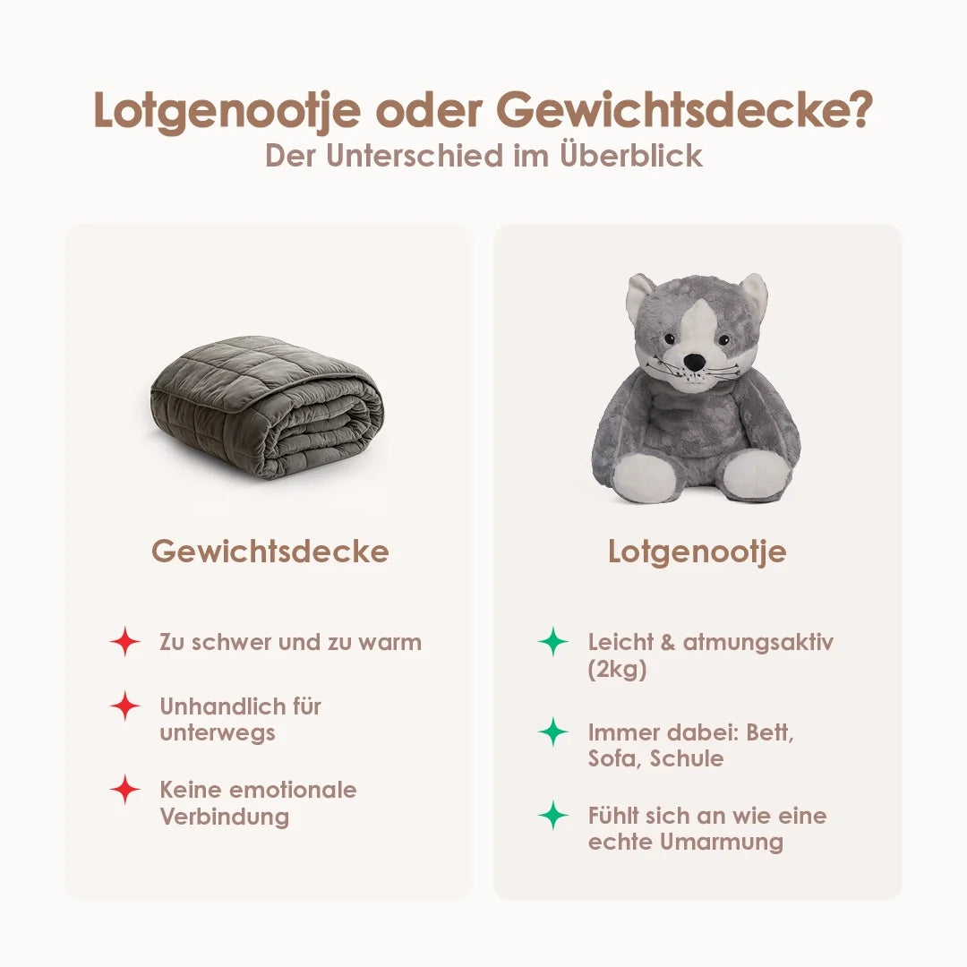 Lotgenootje Kat 2kg