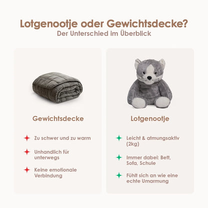 Lotgenootje Kat 2kg