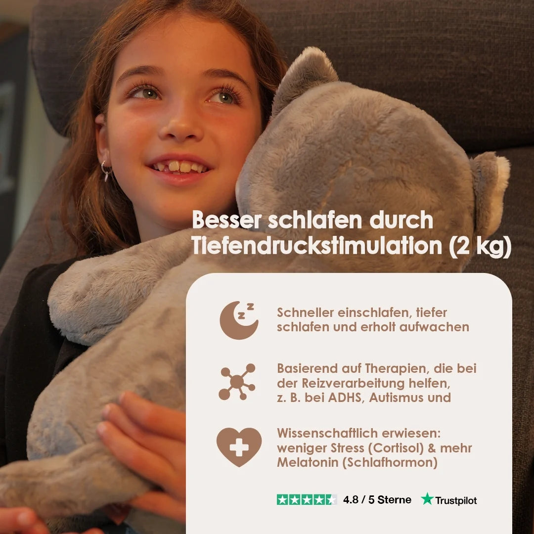 Lotgenootje Kat 2kg