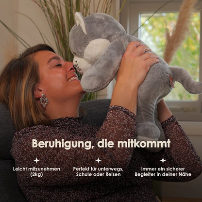 Lotgenootje Kat 2kg