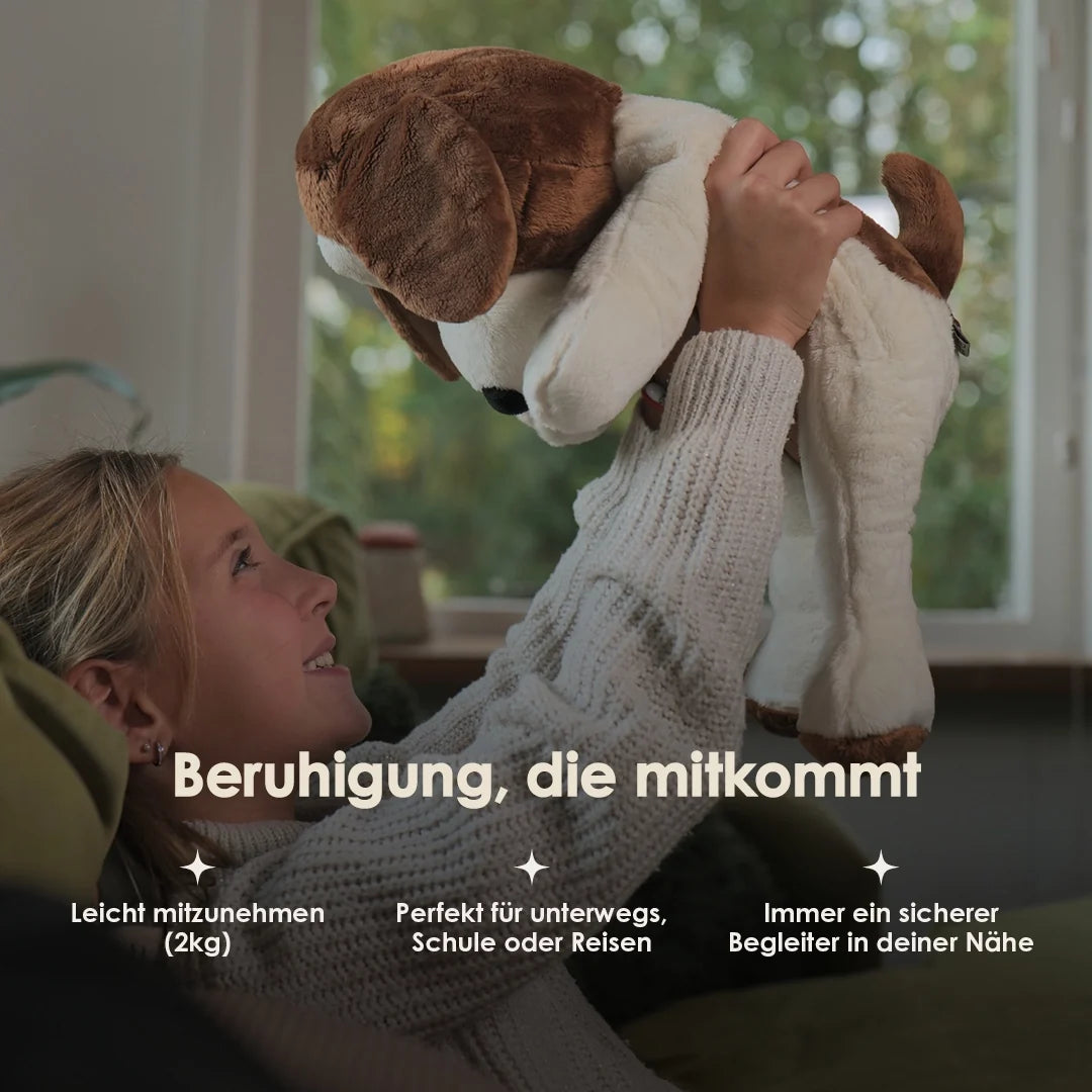 Lotgenootje Hond 2kg