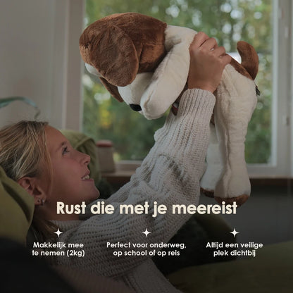 Lotgenootje Hond 2kg