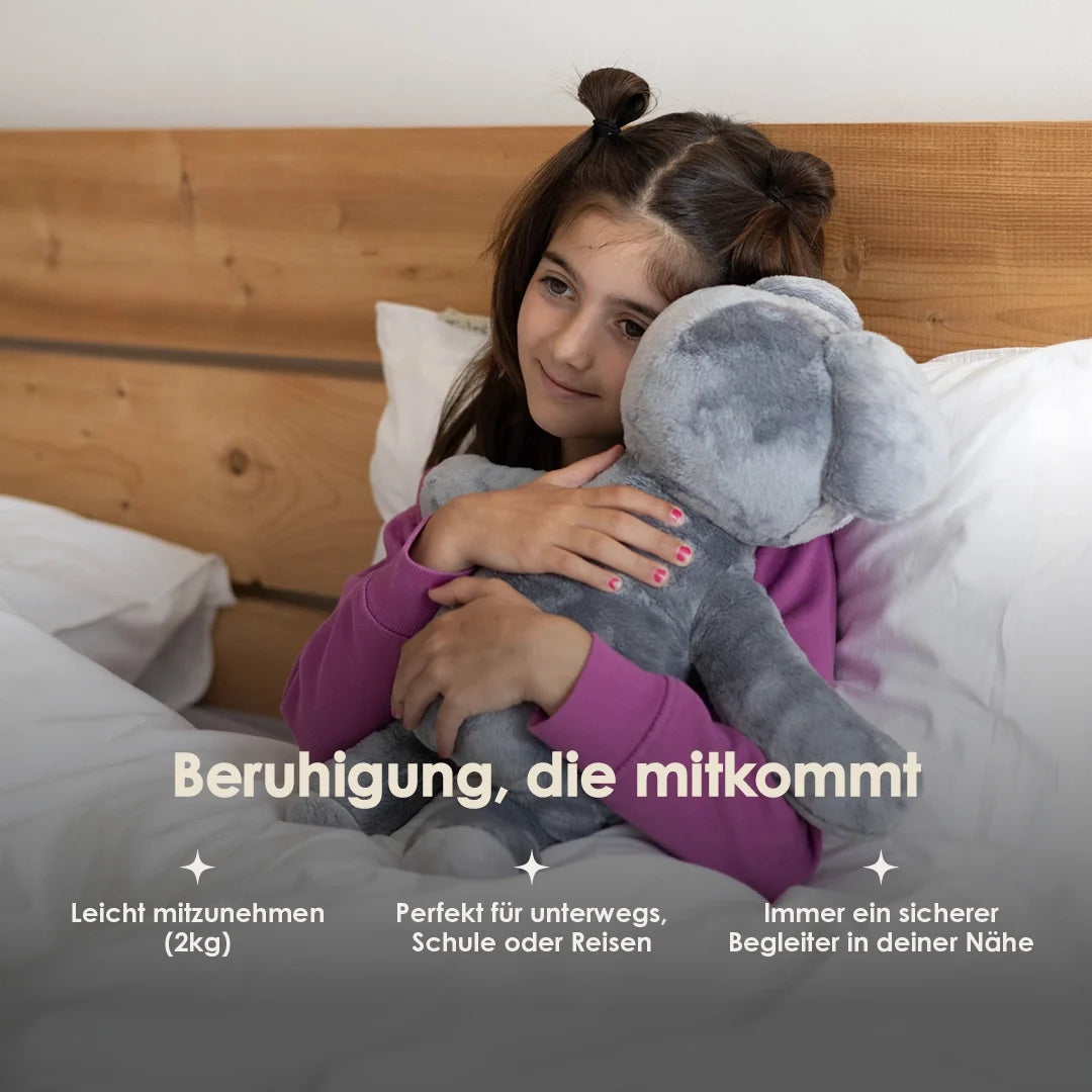 Lotgenootje Koala 2kg