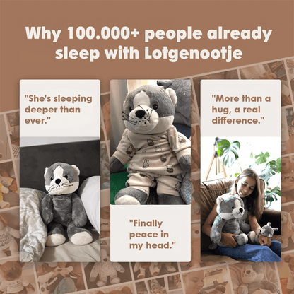 Lotgenootje Kat 2kg