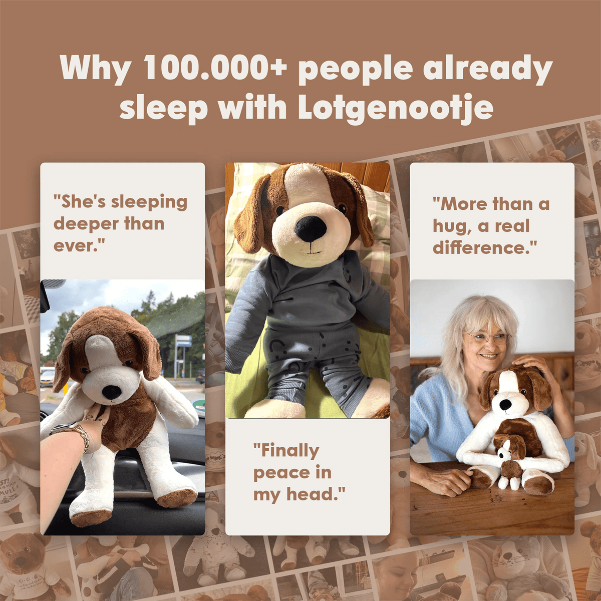 Lotgenootje Hond 2kg