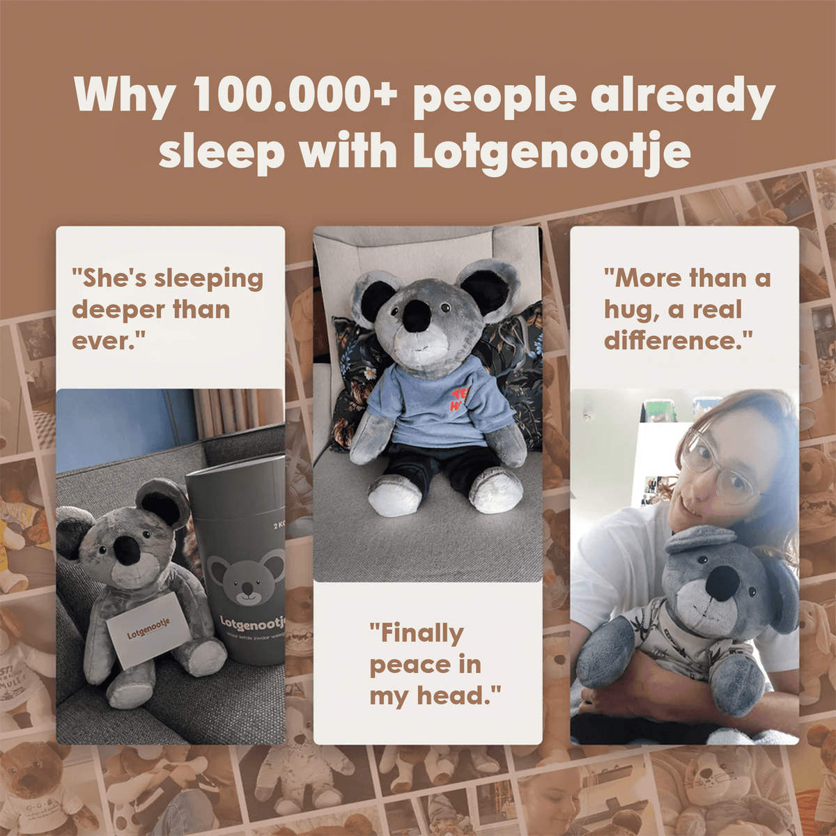 Lotgenootje Koala 2kg
