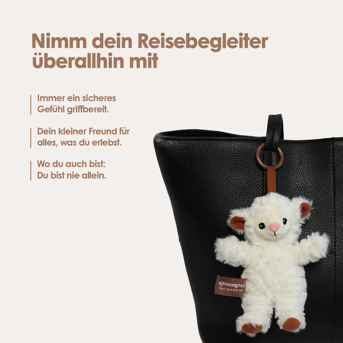 Reisgenootje Tashanger Schaap