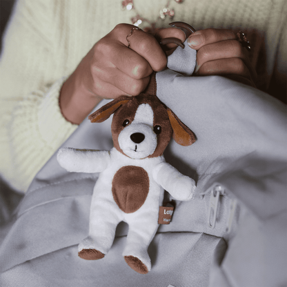 Reisgenootje Tashanger Hond