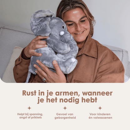 img-dutch