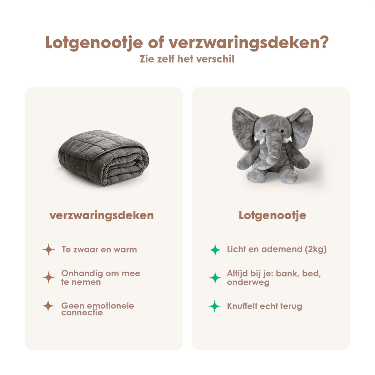 img-dutch