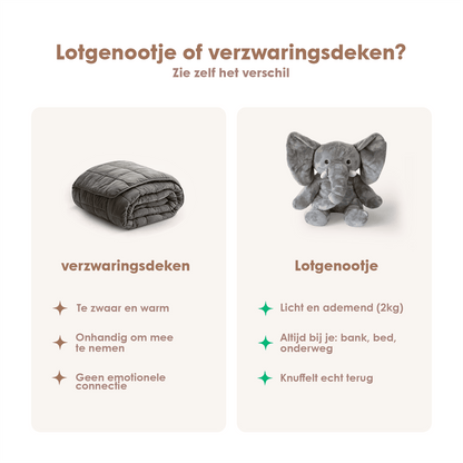 img-dutch