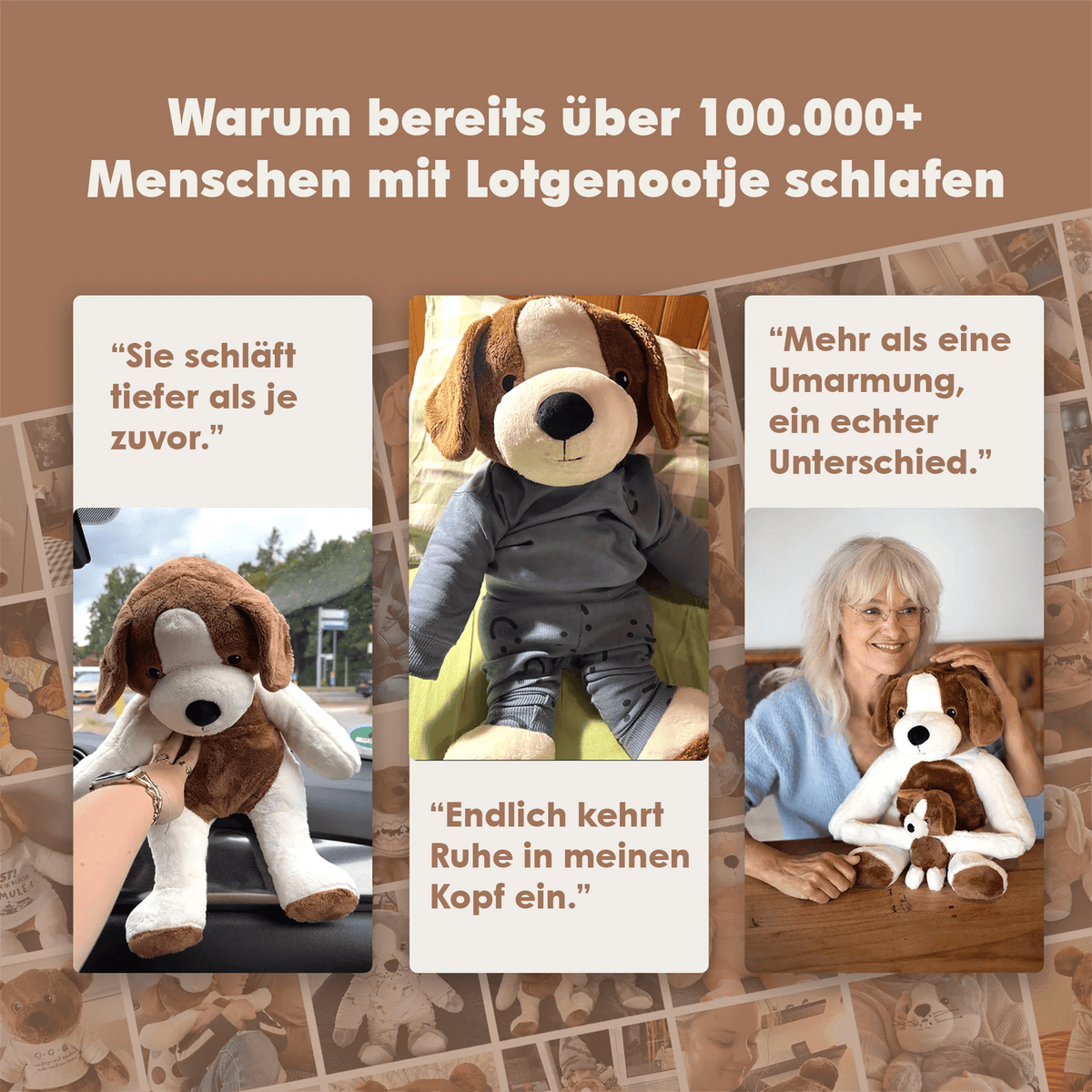 Lotgenootje Hond 2kg
