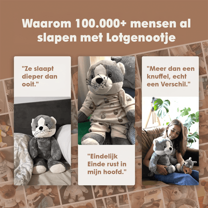 Lotgenootje Kat 2kg
