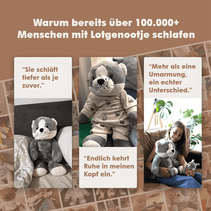 Lotgenootje Kat 2kg