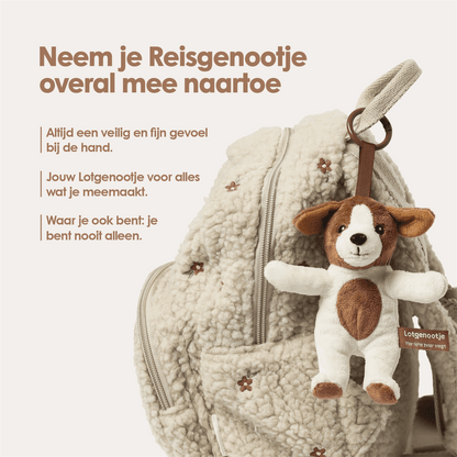 Reisgenootje Tashanger Hond