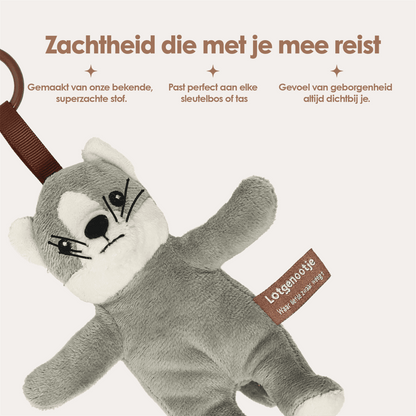 Reisgenootje Tashanger Kat
