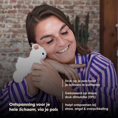 Mini Lotgenootje Schaap