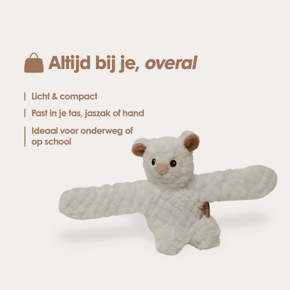 Mini Lotgenootje Schaap