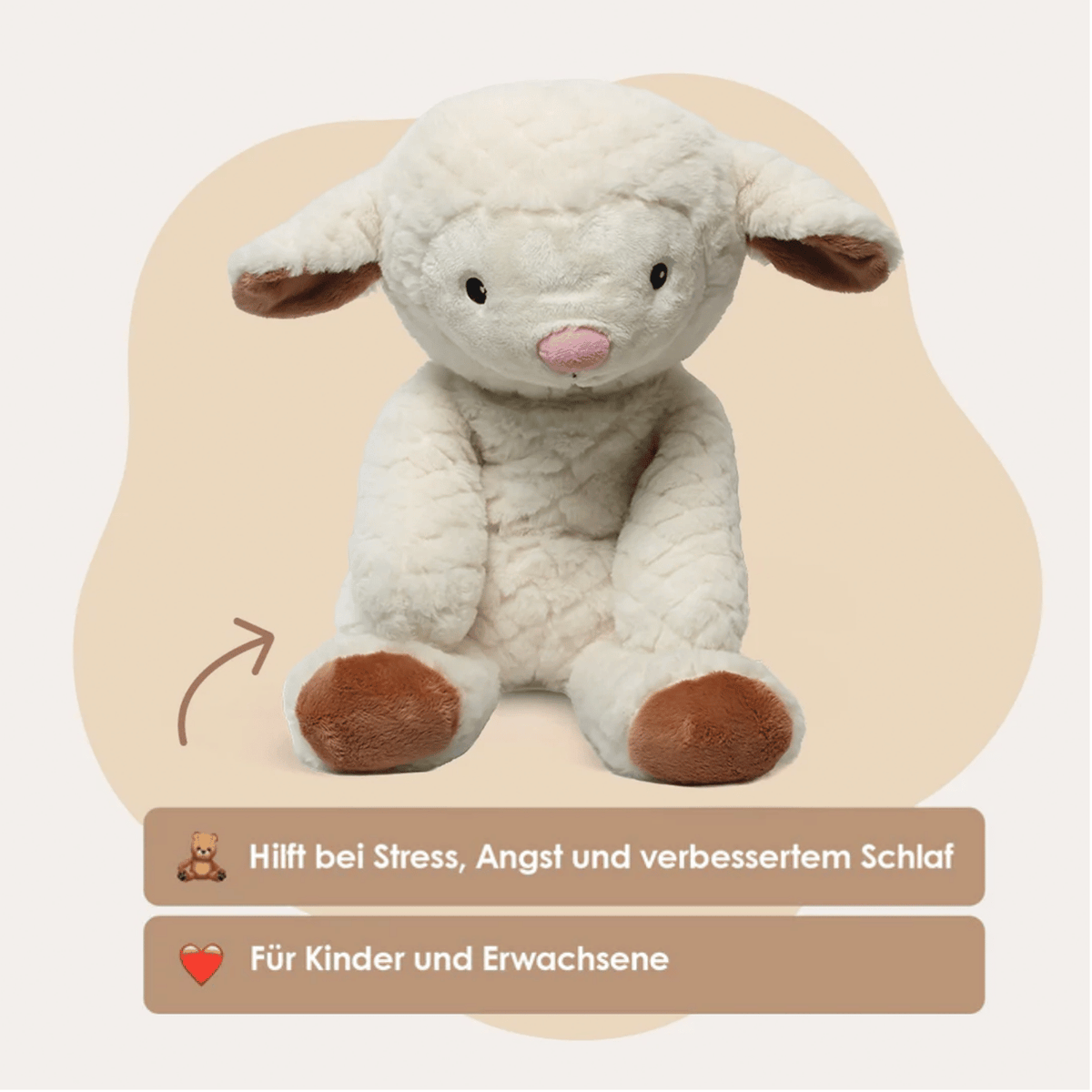 Lotgenootje Schaap 2kg