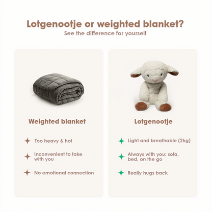 Lotgenootje Schaap 2kg