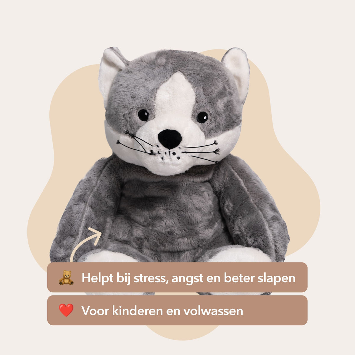 Mini & Grote kat - Je bespaart €20