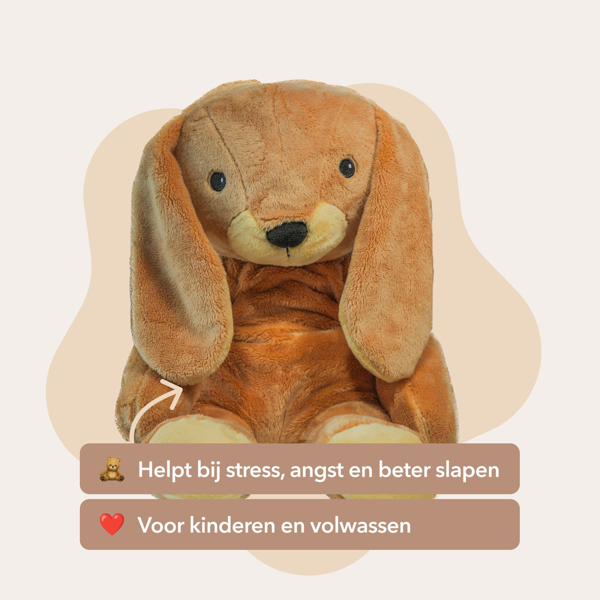 De beste Lotgenootje deal – Alle 4 Lotgenootjes in 1 - Je bespaart €70
