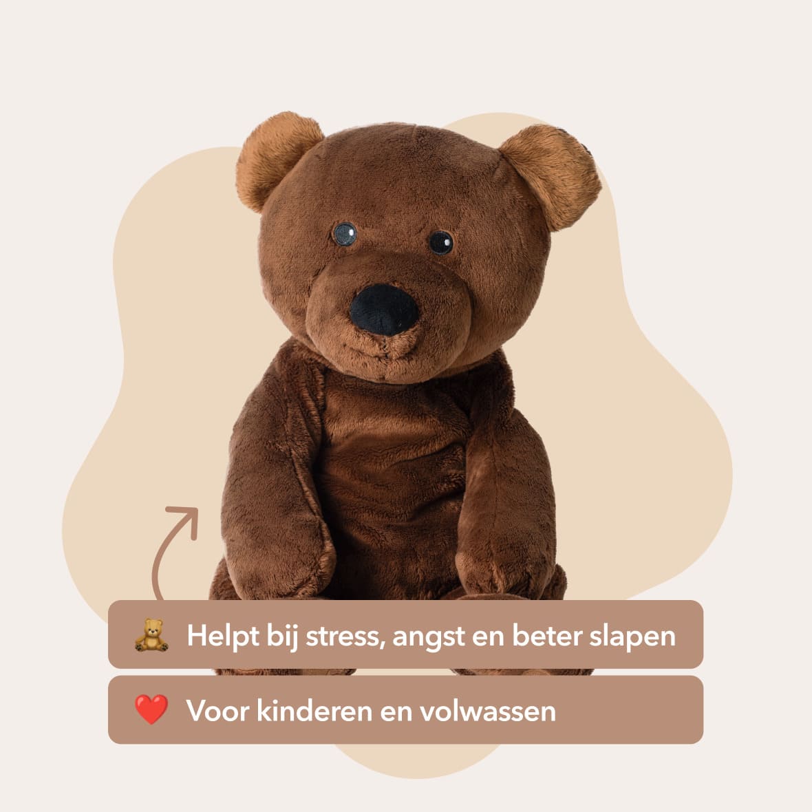 Mini & Grote beer - Je bespaart €20