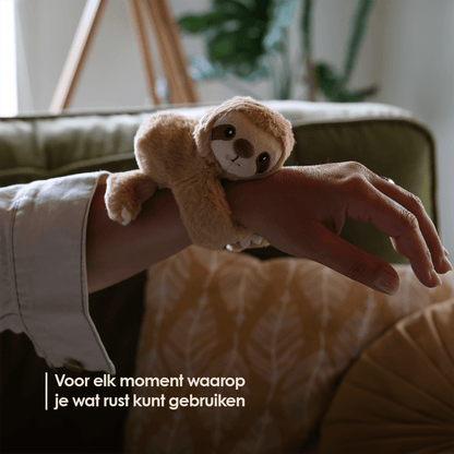 Mini Lotgenootje Luiaard